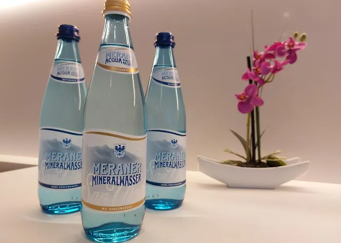 Wosching Haus Roemer Living